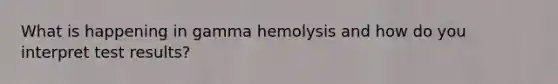 What is happening in gamma hemolysis and how do you interpret test results?