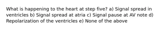 What is happening to the heart at step five? a) Signal spread in ventricles b) Signal spread at atria c) Signal pause at AV note d) Repolarization of the ventricles e) None of the above