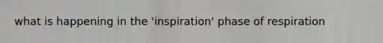 what is happening in the 'inspiration' phase of respiration