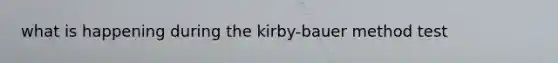 what is happening during the kirby-bauer method test