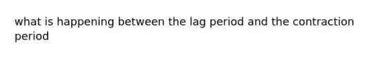 what is happening between the lag period and the contraction period