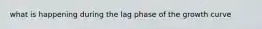 what is happening during the lag phase of the growth curve