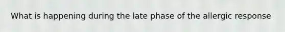 What is happening during the late phase of the allergic response