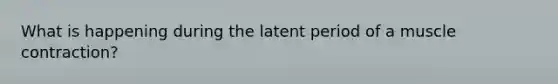 What is happening during the latent period of a muscle contraction?