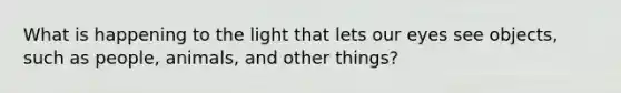 What is happening to the light that lets our eyes see objects, such as people, animals, and other things?