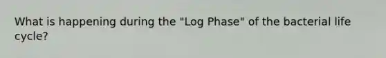 What is happening during the "Log Phase" of the bacterial life cycle?