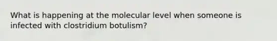 What is happening at the molecular level when someone is infected with clostridium botulism?