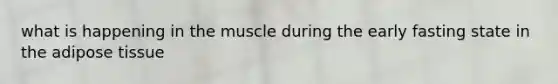 what is happening in the muscle during the early fasting state in the adipose tissue