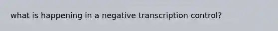 what is happening in a negative transcription control?