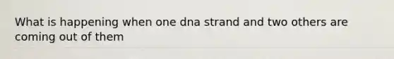 What is happening when one dna strand and two others are coming out of them