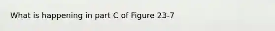 What is happening in part C of Figure 23-7