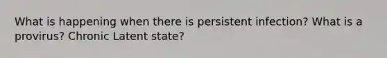 What is happening when there is persistent infection? What is a provirus? Chronic Latent state?