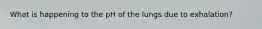 What is happening to the pH of the lungs due to exhalation?