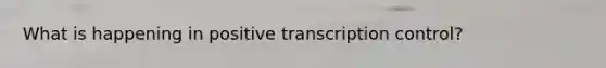 What is happening in positive transcription control?