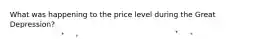 What was happening to the price level during the Great Depression?