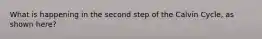 What is happening in the second step of the Calvin Cycle, as shown here?