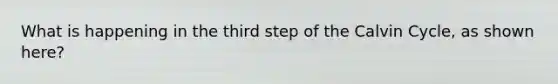 What is happening in the third step of the Calvin Cycle, as shown here?