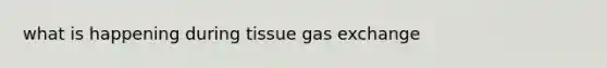 what is happening during tissue gas exchange