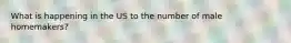 What is happening in the US to the number of male homemakers?