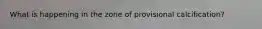 What is happening in the zone of provisional calcification?
