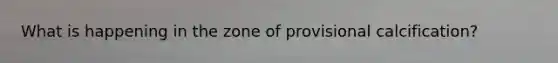 What is happening in the zone of provisional calcification?