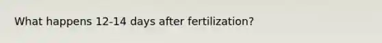 What happens 12-14 days after fertilization?