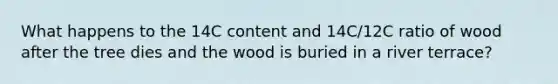 What happens to the 14C content and 14C/12C ratio of wood after the tree dies and the wood is buried in a river terrace?