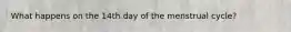 What happens on the 14th day of the menstrual cycle?