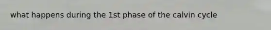 what happens during the 1st phase of the calvin cycle