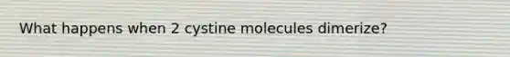 What happens when 2 cystine molecules dimerize?