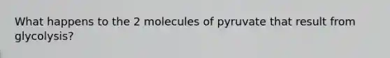 What happens to the 2 molecules of pyruvate that result from glycolysis?