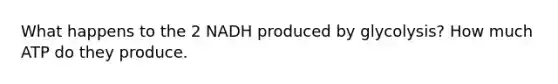 What happens to the 2 NADH produced by glycolysis? How much ATP do they produce.