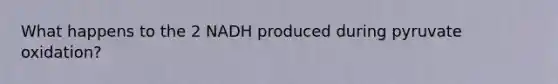 What happens to the 2 NADH produced during pyruvate oxidation?