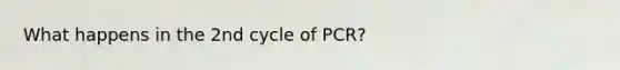 What happens in the 2nd cycle of PCR?