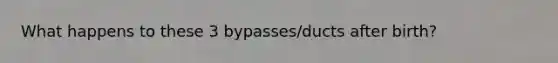 What happens to these 3 bypasses/ducts after birth?