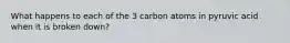 What happens to each of the 3 carbon atoms in pyruvic acid when it is broken down?