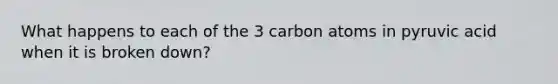 What happens to each of the 3 carbon atoms in pyruvic acid when it is broken down?