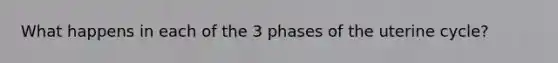 What happens in each of the 3 phases of the uterine cycle?