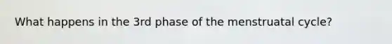 What happens in the 3rd phase of the menstruatal cycle?