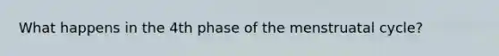 What happens in the 4th phase of the menstruatal cycle?