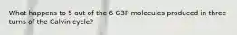 What happens to 5 out of the 6 G3P molecules produced in three turns of the Calvin cycle?