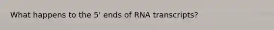 What happens to the 5' ends of RNA transcripts?