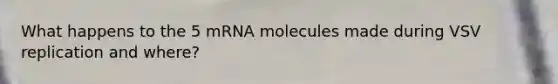 What happens to the 5 mRNA molecules made during VSV replication and where?