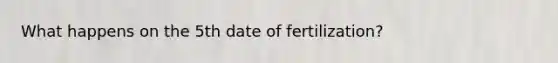 What happens on the 5th date of fertilization?