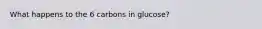 What happens to the 6 carbons in glucose?