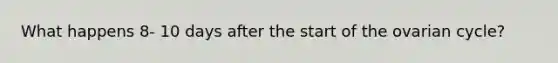 What happens 8- 10 days after the start of the ovarian cycle?