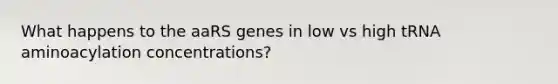 What happens to the aaRS genes in low vs high tRNA aminoacylation concentrations?