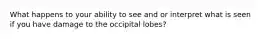 What happens to your ability to see and or interpret what is seen if you have damage to the occipital lobes?