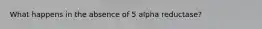 What happens in the absence of 5 alpha reductase?