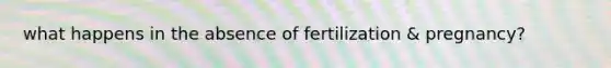 what happens in the absence of fertilization & pregnancy?